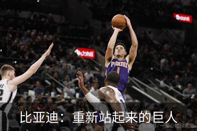 比亚迪：重新站起来的巨人